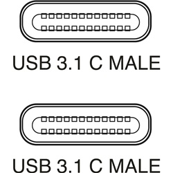 Cavo USB 3.1 Tipo C Maschio-Maschio 1 Metro Trasferimento Dati e Ricarica Rapida