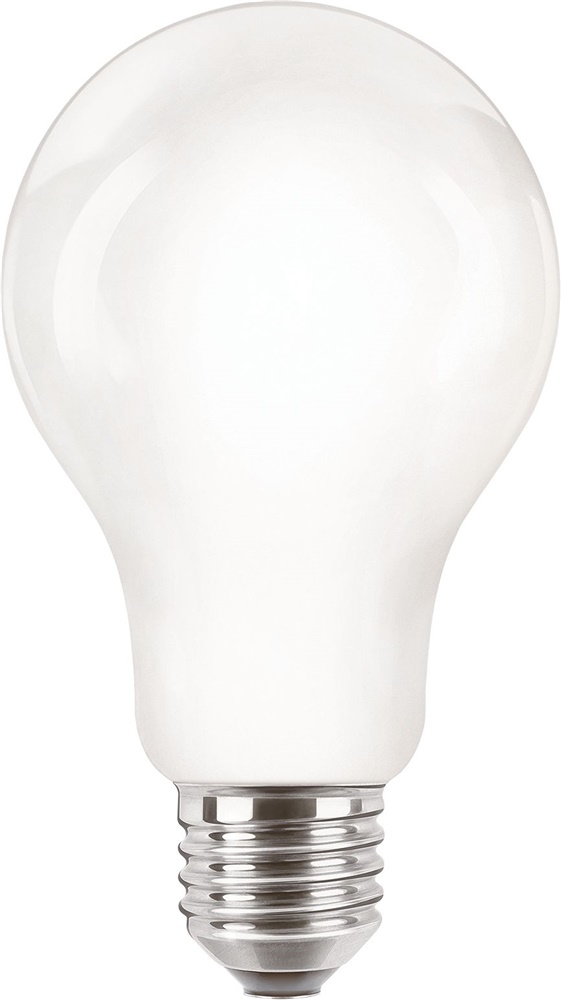 COREPRO LEDBULBND 120W E27 A67 827