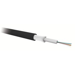 24FO OM4 50/125 ARM.DIEL.PE
