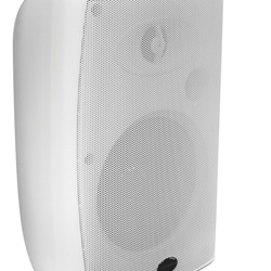 SPEAKER 30W 5+1,5 100V WM IP21 BI