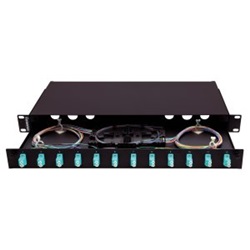 CAS.O4T.PRECAR.12LC DPX OM4+24PIGTA