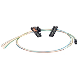 FANOUT 6FO 900UM PER LOOSE 250UM
