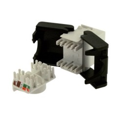PRESA RJ45 UTP CAT6 TOOLLESS BIANCO