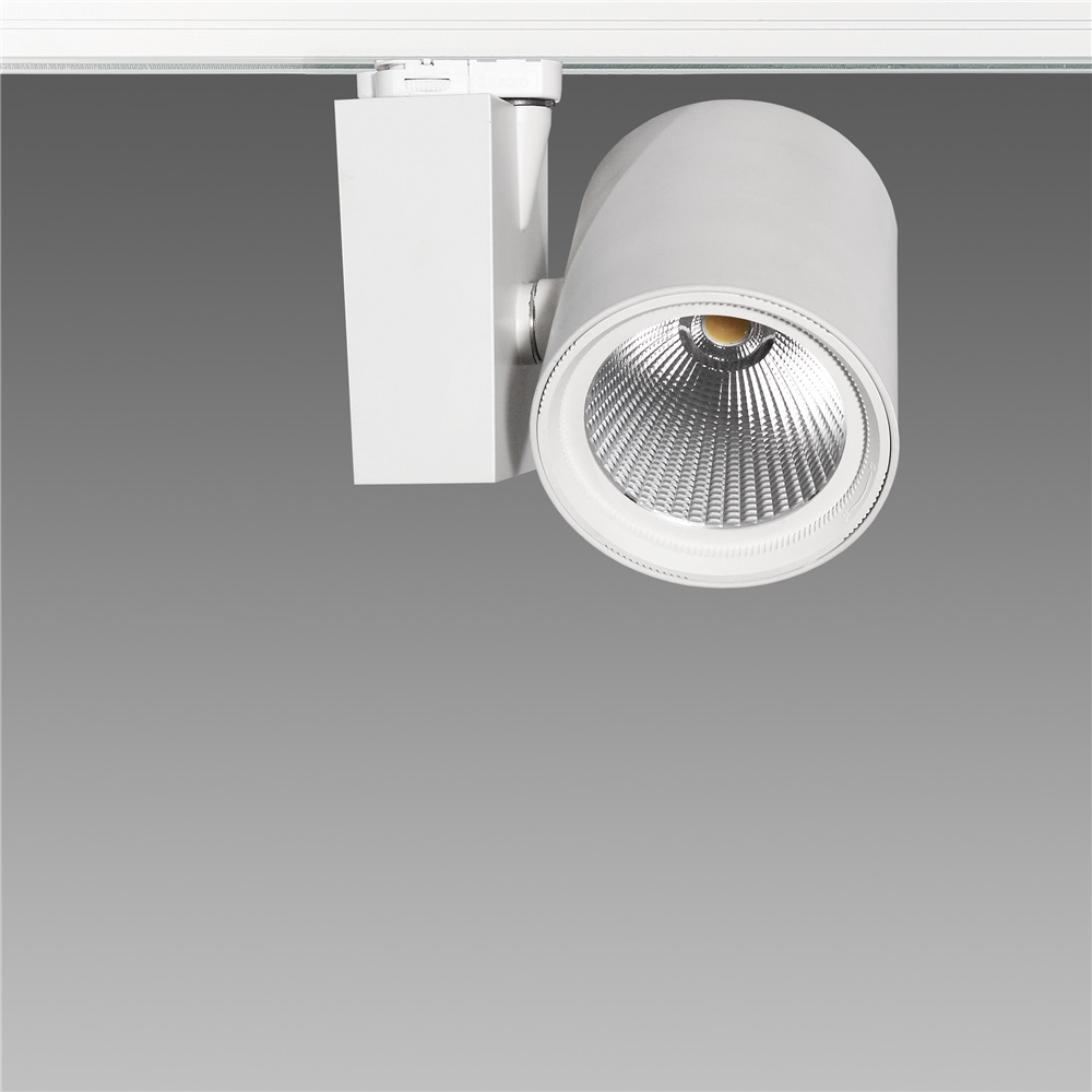 JOLLY-2 1027 LED 49W 3K CLD CELL NE