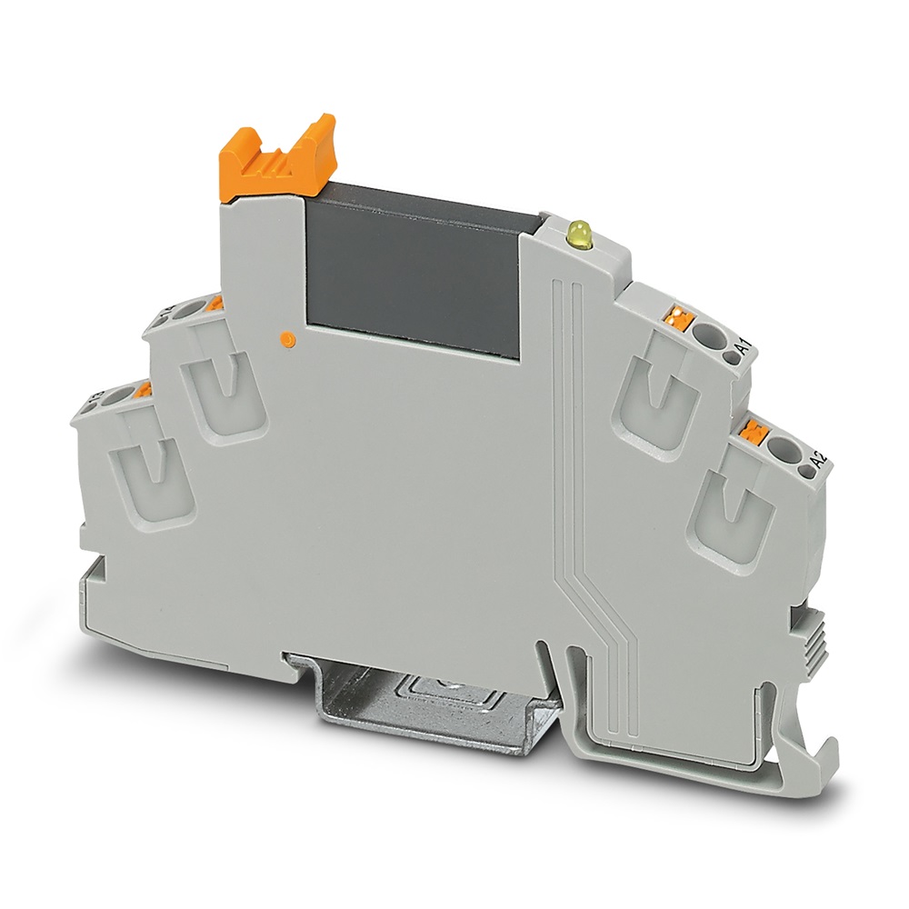 RIF-0-OPT-24DC/48DC/100 MODULO PORT