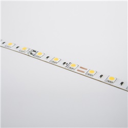 STRIP 5M 10W/M IP68 3000K 60LED/M 5