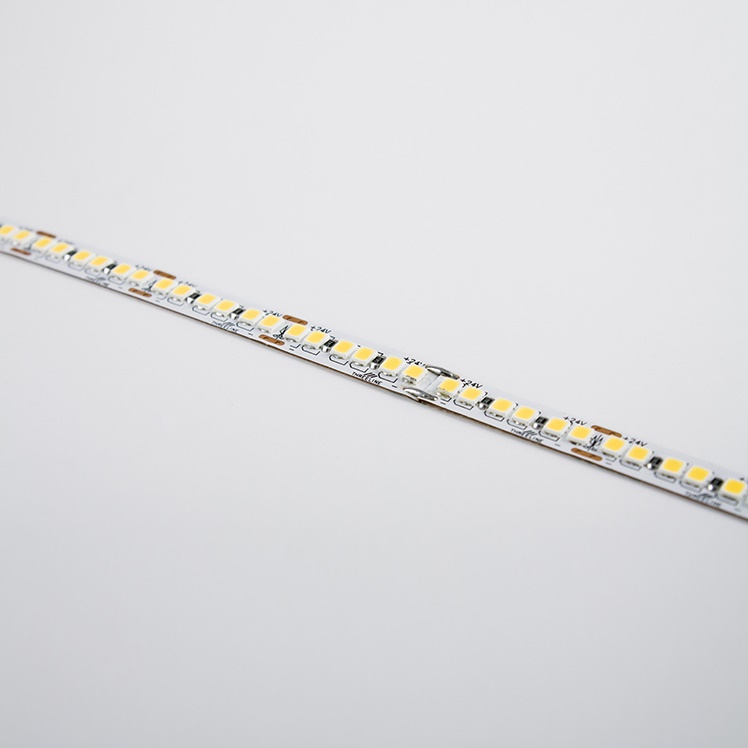 STRIP 5M 19,2W/M IP20 6000K 240LED/