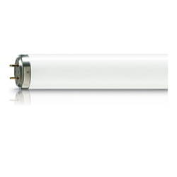TL 60W/10-R SLV/25