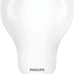 COREPRO LEDBULBND 120W E27 A67 865