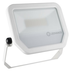 FL PFM 30W/6500K SYM 100 WT