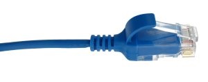 LOT.10PZ PATCH CAT6 1M LSZH BLU