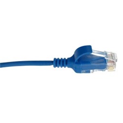 LOT.10PZ PATCH CAT6 1M LSZH BLU