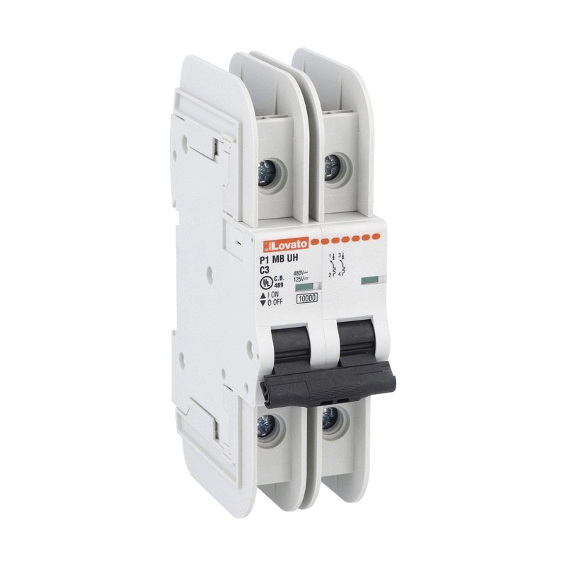 Interruttore magnetotermico 2 poli C20 20A 10kA 480Y/277V UL489 per protezione circuiti elettrici