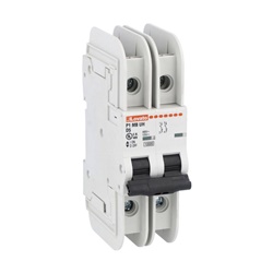 Interruttore magnetotermico 2 poli 15A caratteristica D 10kA UL489 per impianti elettrici