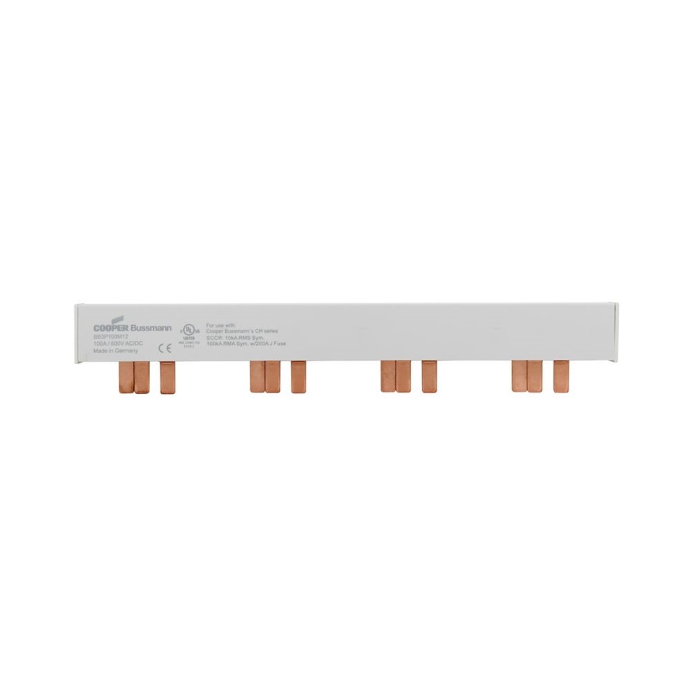 BB3P100M12 THREE PHASE BB,100A,12 P