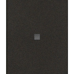 Interruttore 1P 10AX assiale nero