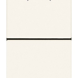 Due pulsanti interbloccati NO+NO 10A 250V con frecce direzionali bianco per comando elettrico