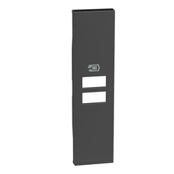 Cover Bticino Living Now Caricatore 2 Usb Nera 1M