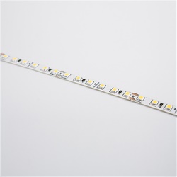 STRIP 5M 9,6W/M IP65 6000K 120LED/M