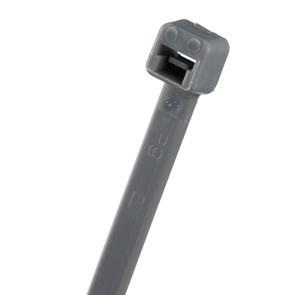 PLT2I-M8 Fascetta Premium