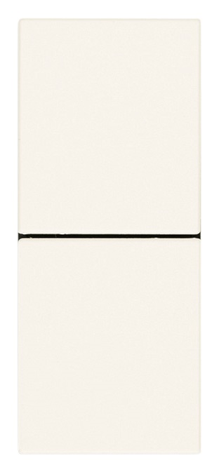 Due pulsanti indipendenti 10A 250V bianco per controllo circuiti elettrici