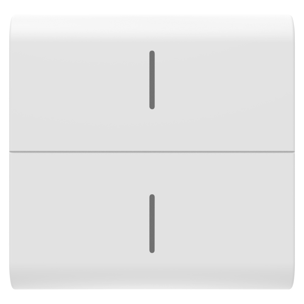 TASTO INTERCAMBIABILE PER PULSANTIERA CONNESSA ECO - 2 MODULI - BINCO SATINATO - CHORUSMART