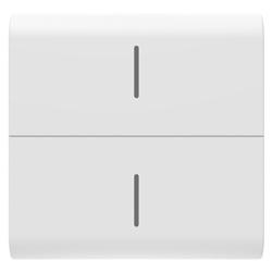 TASTO INTERCAMBIABILE PER PULSANTIERA CONNESSA ECO - 2 MODULI - BINCO SATINATO - CHORUSMART