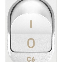 INTERRUTTORE MT 1P+N C6 120-230V BI