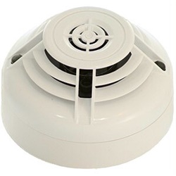 PTIR DET NO ISO IVORY NOTIFIER