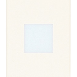 Tasto 1 modulo con diffusore assiale illuminabile personalizzabile bianco per impianti elettrici