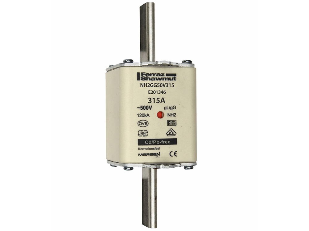FUS. NH BT TAGLIA 2 - 500VAC GG 315
