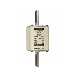 FUS. NH BT TAGLIA 2 - 500VAC GG 315