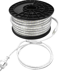 STRISCIA LED BN 50M 5W +SPINA+2DRIV