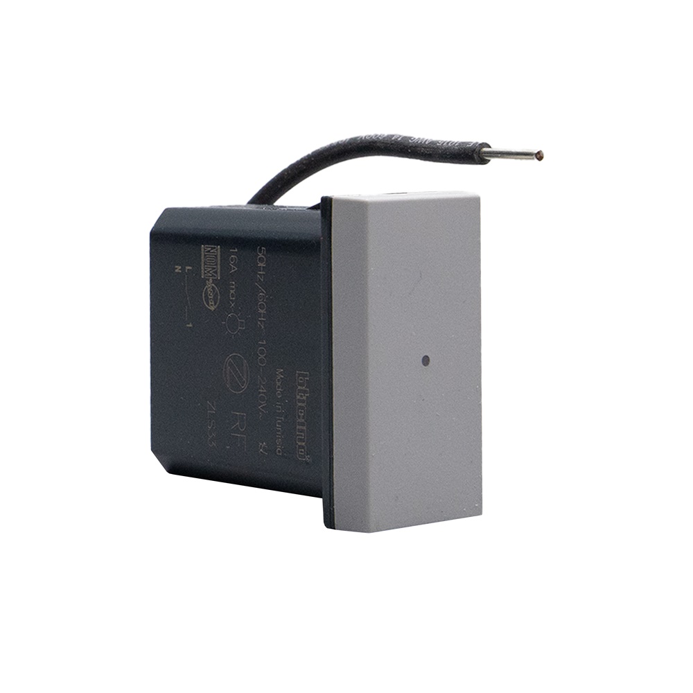 Modulo presa connesso grigio controllo remoto consumi compatibile 3680W uso domestico