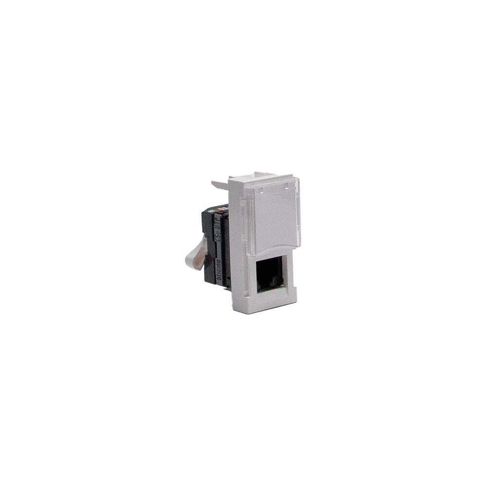 Connettore RJ45 UTP CAT5E bianco 1 modulo Toolless per cablaggio rete affidabile