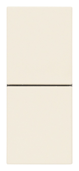 Due pulsanti indipendenti NO+NO 10A 250V canapa controllo circuiti elettrici