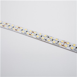 STRIP 5M 19,2W/M IP20 6000K 240LED/