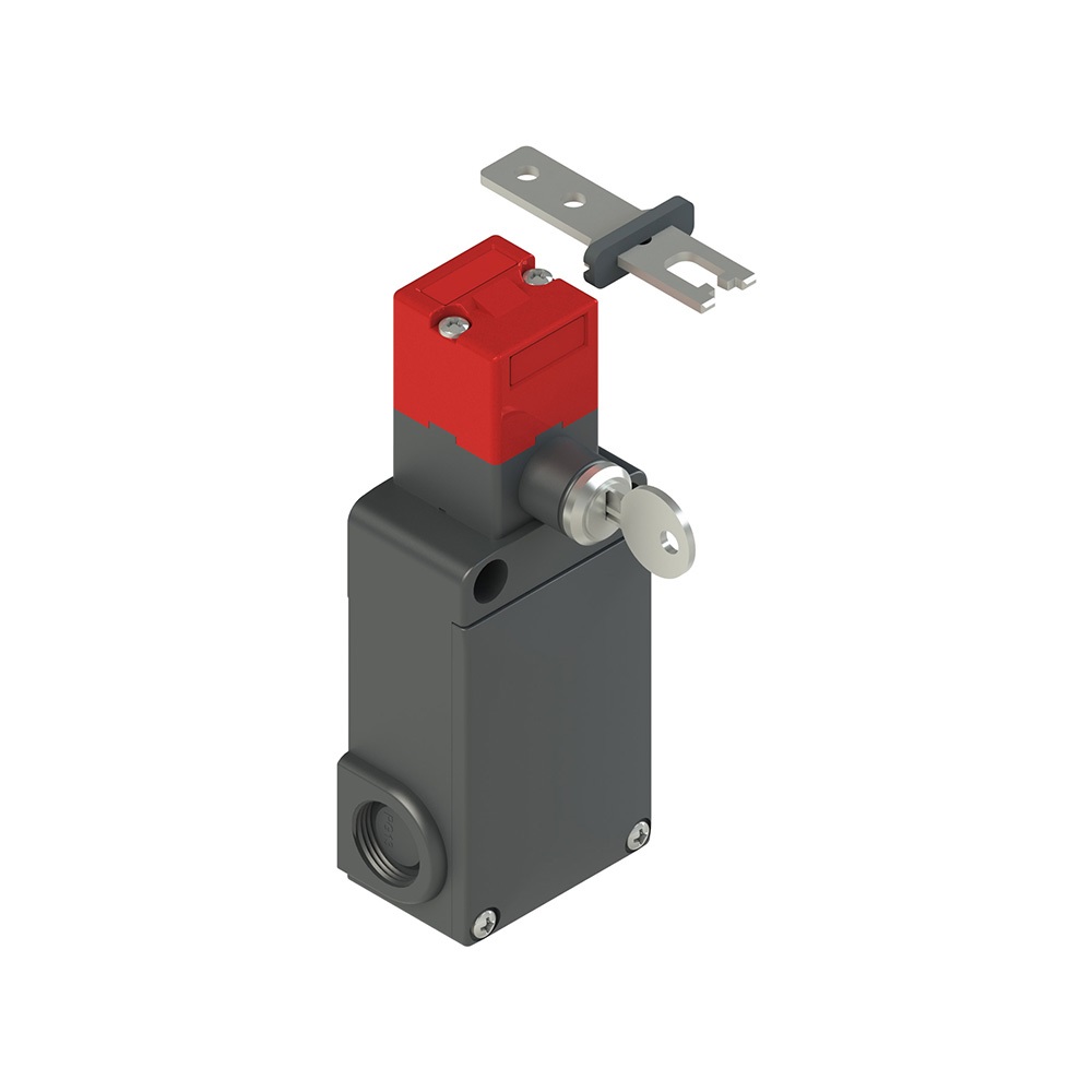 INTERRUTTORE DI SICUREZZA AD AZIONA