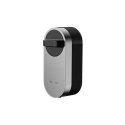 DL01S SMART LOCK+TASTIERINO DL01CP+