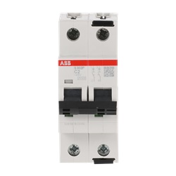 Interruttore automatico 2 poli 2A C curva 415V AC protezione sovracorrente industriale residenziale