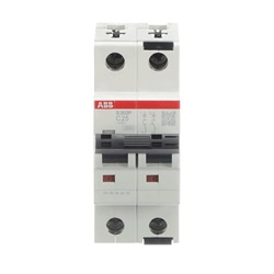 Interruttore automatico modulare 2 poli 25A C25 protezione sovraccarico corto circuito impianti residenziali industriali