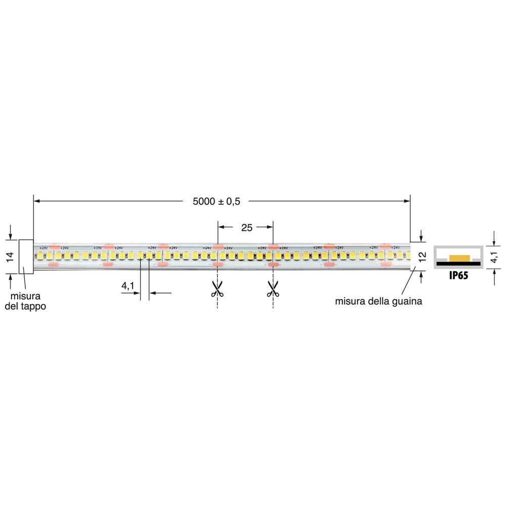 LEDSTRIP 20W/MT 24V IP65 striscia LED flessibile resistente per interni ed esterni
