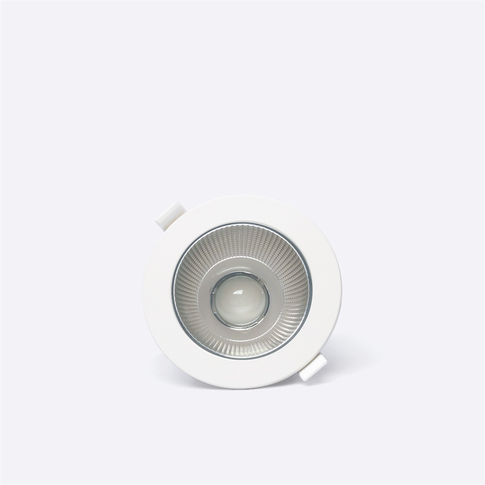 Downlight LED 10W 4000K DALI incasso rotondo bianco IP66