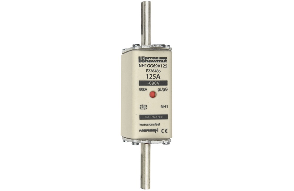 FUS. NH BT TAGLIA 1 - 690VAC GG 125