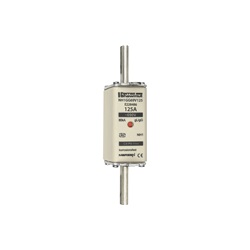 FUS. NH BT TAGLIA 1 - 690VAC GG 125