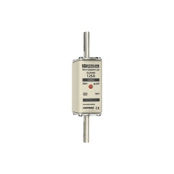 FUS. NH BT TAGLIA 1 - 690VAC GG 125