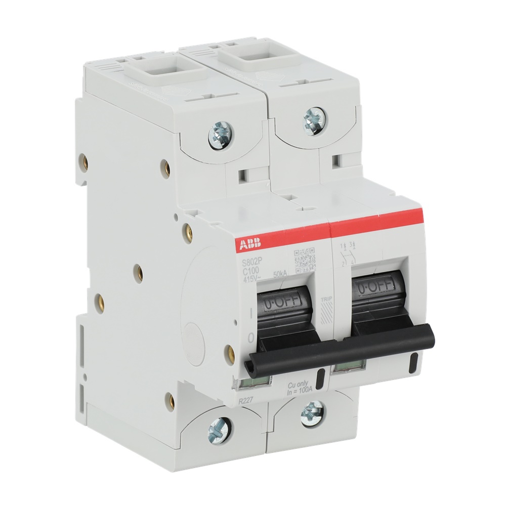 Interruttore magnetotermico S802P-C100 50kA 100A 2P protezione impianti residenziali industriali