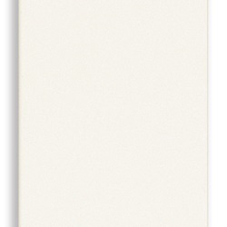 PULSANTE COMMUTATORE 2P 10A BIANCO