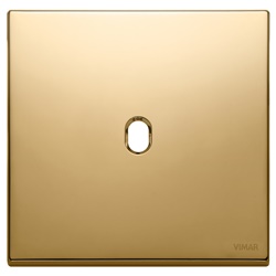 Placca 2 moduli Vintage metallo oro per comando elettrico elegante