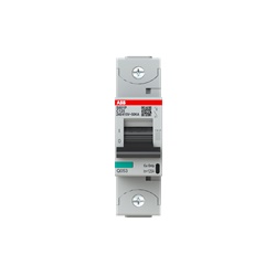 Interruttore magnetotermico S801P C125 125A 50kA 1P protezione impianti elettrici residenziali industriali